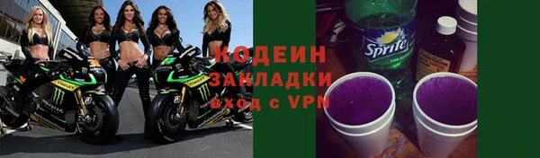 ГАЛЛЮЦИНОГЕННЫЕ ГРИБЫ Гусев