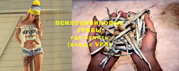 синтетический гашиш Алексин